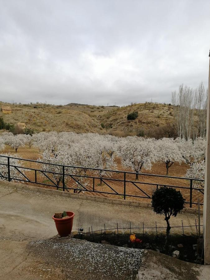 Apartamentos Rurales Camino Del Cid Castejón de las Armas Extérieur photo