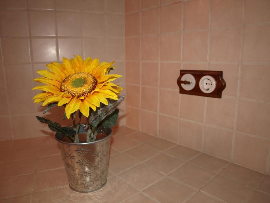 Apartamentos Rurales Camino Del Cid Castejón de las Armas Chambre photo