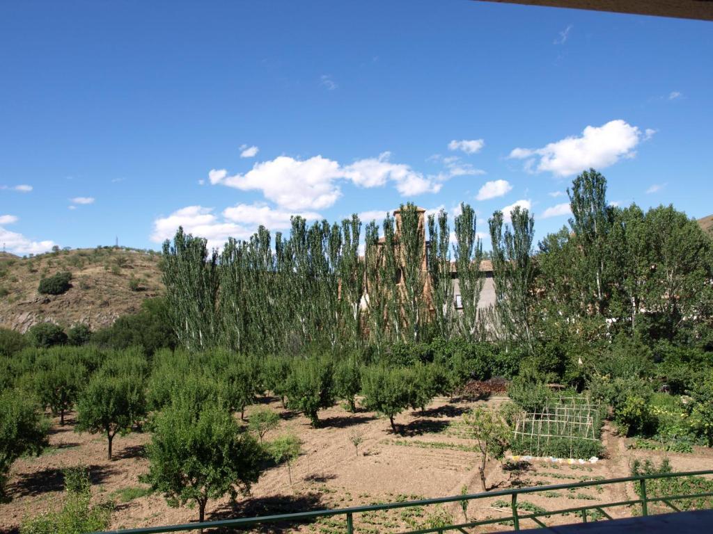 Apartamentos Rurales Camino Del Cid Castejón de las Armas Extérieur photo