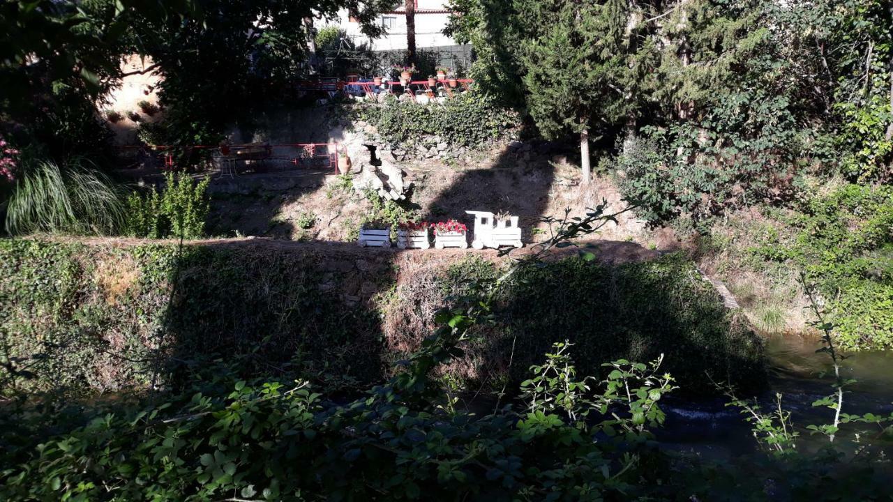 Apartamentos Rurales Camino Del Cid Castejón de las Armas Extérieur photo